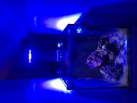 IMG_1846.jpg