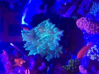 IMG_8794.JPG