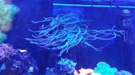 20171026_153859.jpg