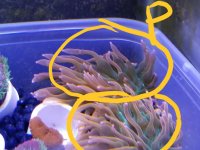 p02.jpg p02.jpg