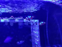 20171026_172733.jpg