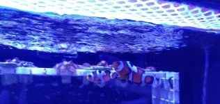 20171026_172931_1509053384477.jpg