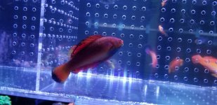 20180413_173726.jpg