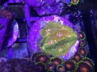 IMG_0668.jpg
