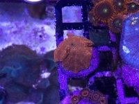IMG_0670.jpg