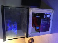 IMG_0452.jpg