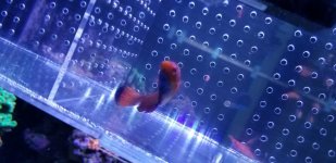 20180413_173737.jpg