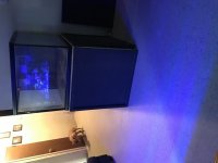 IMG_0456.jpg