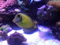 IMG_5504.JPG