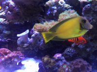 IMG_5505.JPG