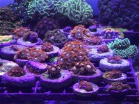 IMG_0673.jpg
