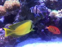 IMG_5506.JPG