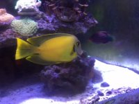 IMG_5507.JPG