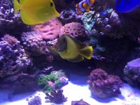 IMG_5508.JPG
