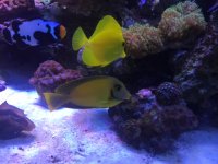 IMG_5509.JPG