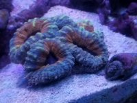 20170513_143958.jpg