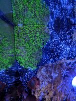 IMG_20180414_100130.jpg