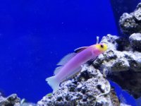 20180127_174718.jpg