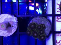 IMG_0353.jpg
