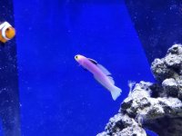 20180127_174702.jpg