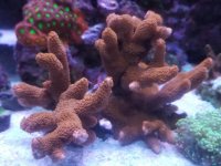 20170513_143904.jpg