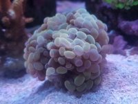 20170513_143855.jpg