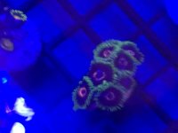 IMG_0286.jpg
