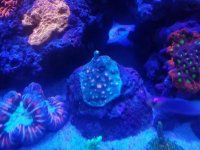 20170513_102902.jpg