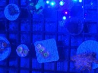 IMG_0341.jpg