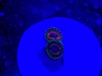 20170520_150829.jpg