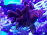 20170520_150854.jpg