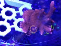 20170520_150737.jpg