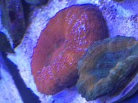 IMG_1934.jpg