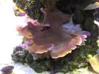 IMG_4415.jpg
