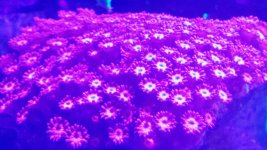 1495149647221.jpg