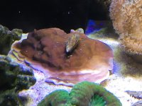 IMG_4416.jpg
