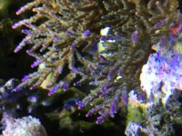 IMG_4409.jpg