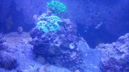 20180829_144425.jpg