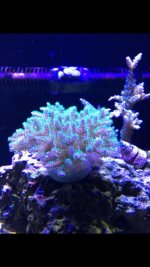 IMG_4418.jpg