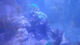 20180829_144418.jpg