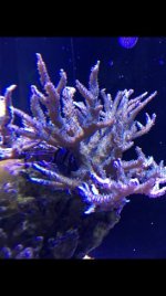 IMG_4419.jpg