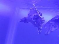 20180414_105214.jpg