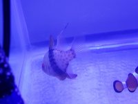 20180414_105204.jpg