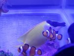 20180414_105200.jpg