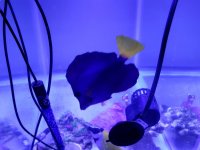 20180414_105140.jpg