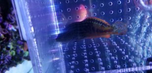 20180414_171652.jpg