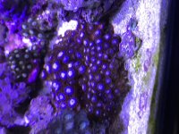 FE341BB9-65B8-4D00-92AD-F3CA896FF0C0.jpg