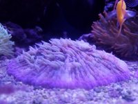 20180128_151538.jpg