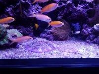 20180128_151530.jpg