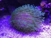IMG_0998.jpg